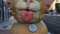Hello world to Las Vegas Locals Reviews!