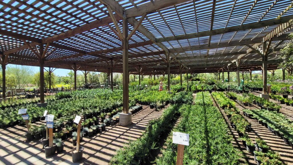Star Nursery More Plants