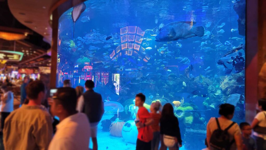 Aquarium