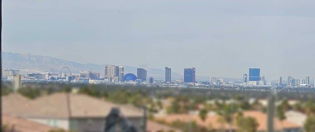 The View