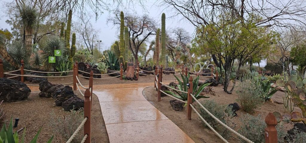 Ethel M Cactus Garden Path