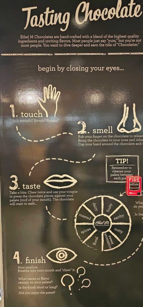 Tasting Steps