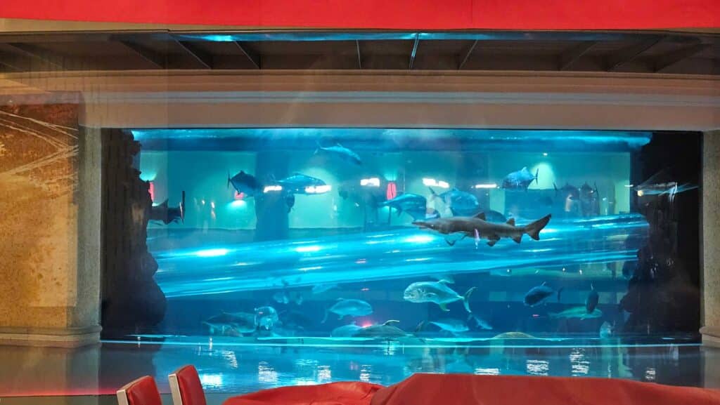 Aquarium