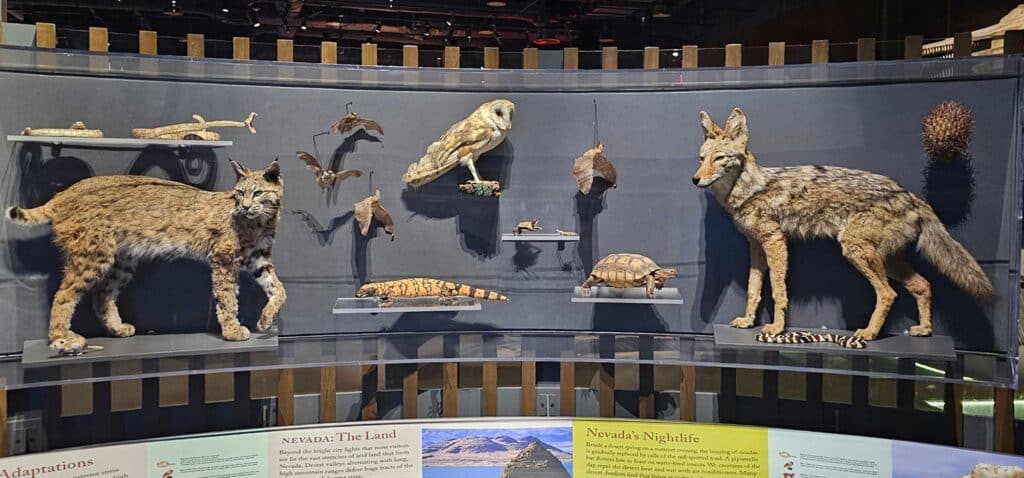 Nevada Critters