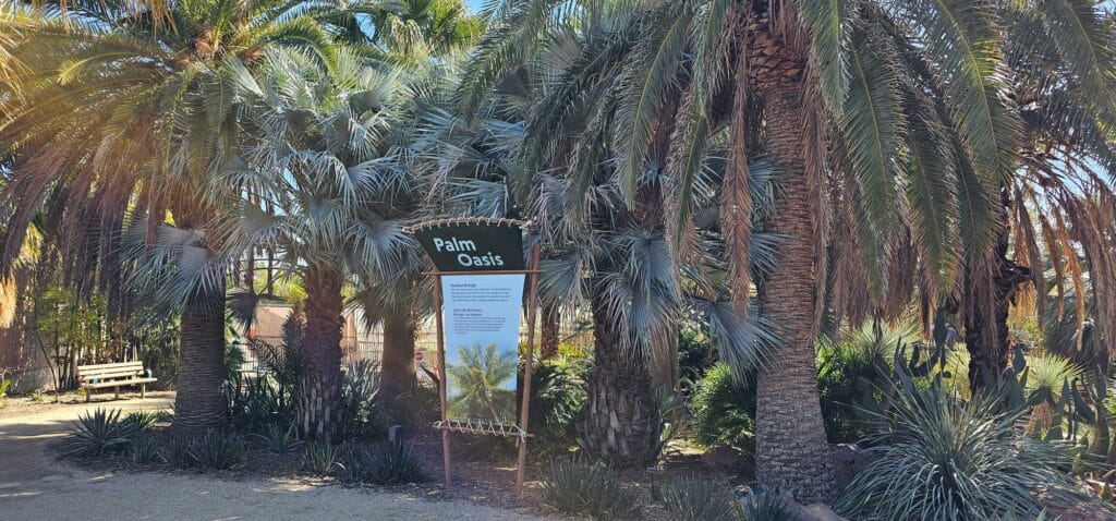 Palms