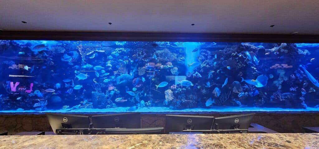 Aquarium