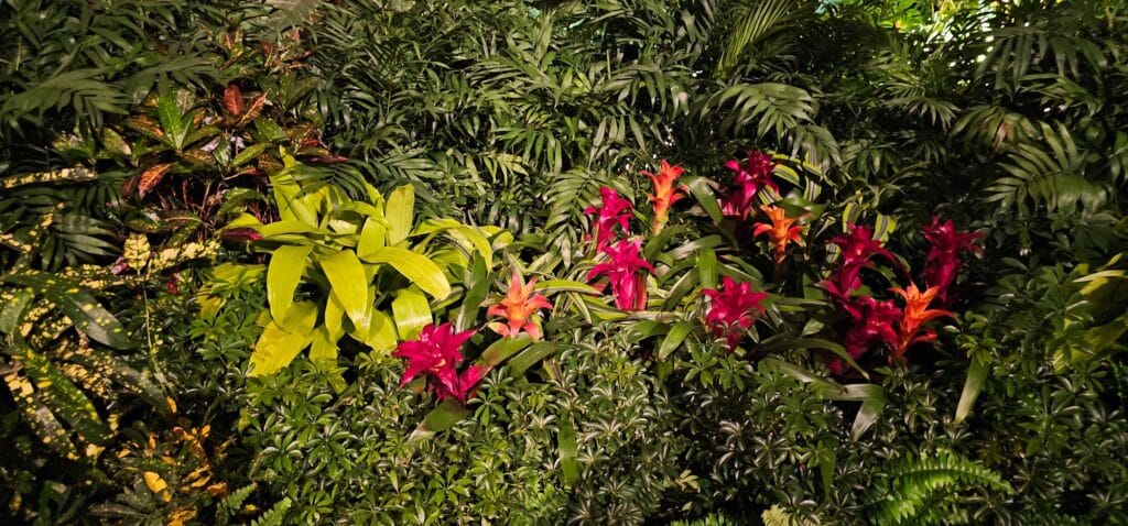 Flowers