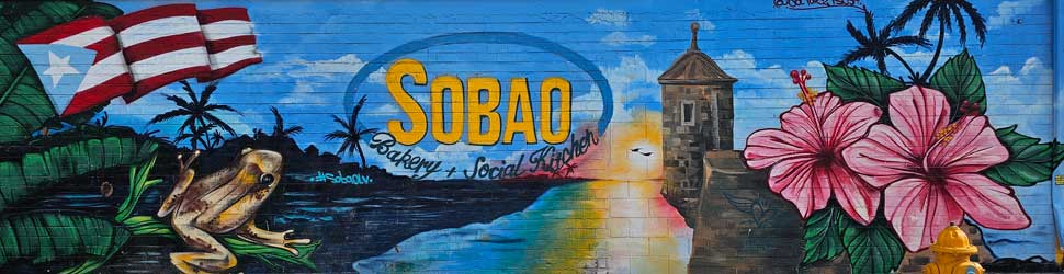 Sobaobb