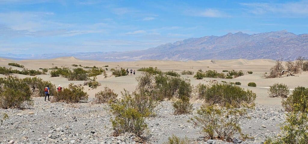 Sand Dune View