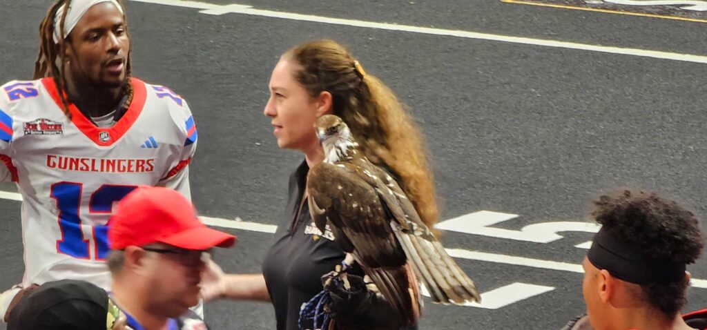 Knight Hawk