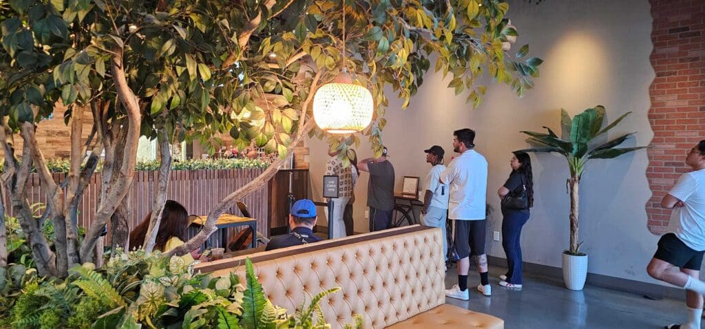 Decor