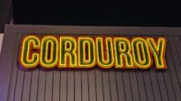 Corduroy Great Spot Fun Silly Boozy Bingo Awesome Fun