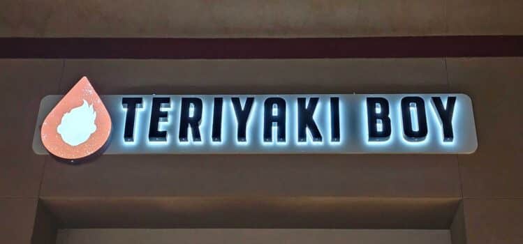 Teriyaki Boy