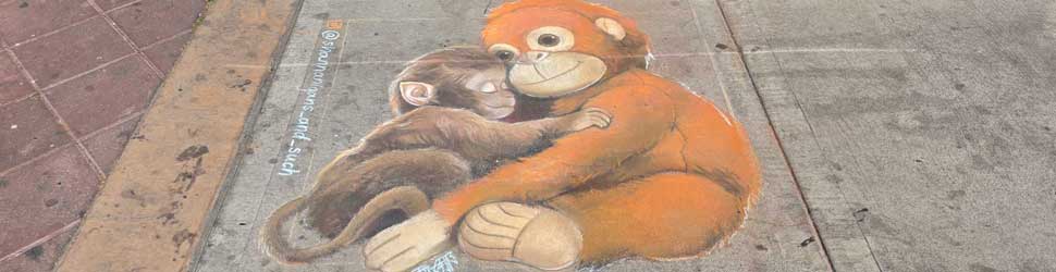 shannanigans_and_suchbb