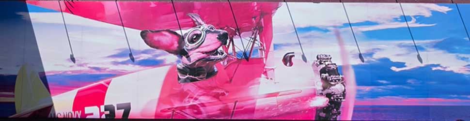 FlyingDogbb
