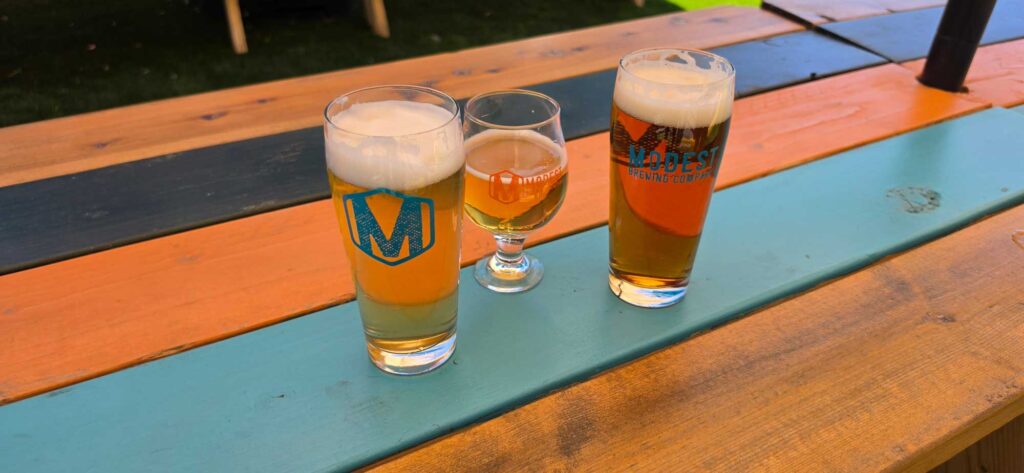 Modest Brewing Company Beer