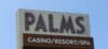 Palms
