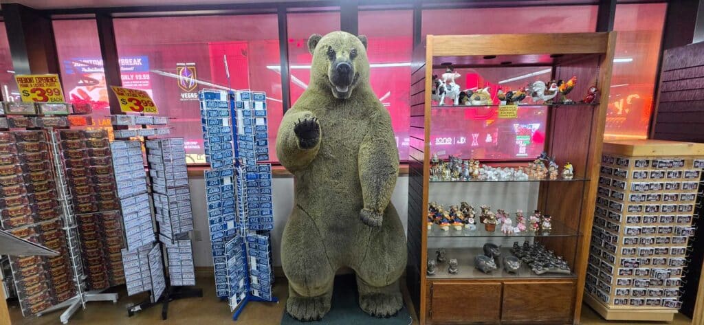 Bear