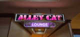 Alley Cat Lounge Quality Reasons To Relax Save Dollar