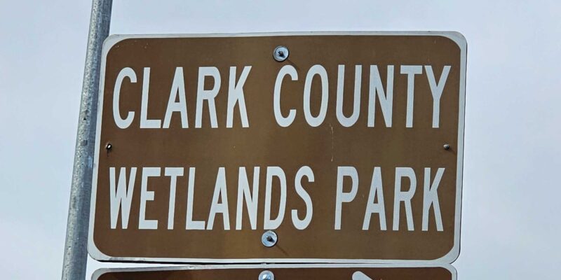 Wetlands Park Enormous Oasis Is The Gem You Will Love